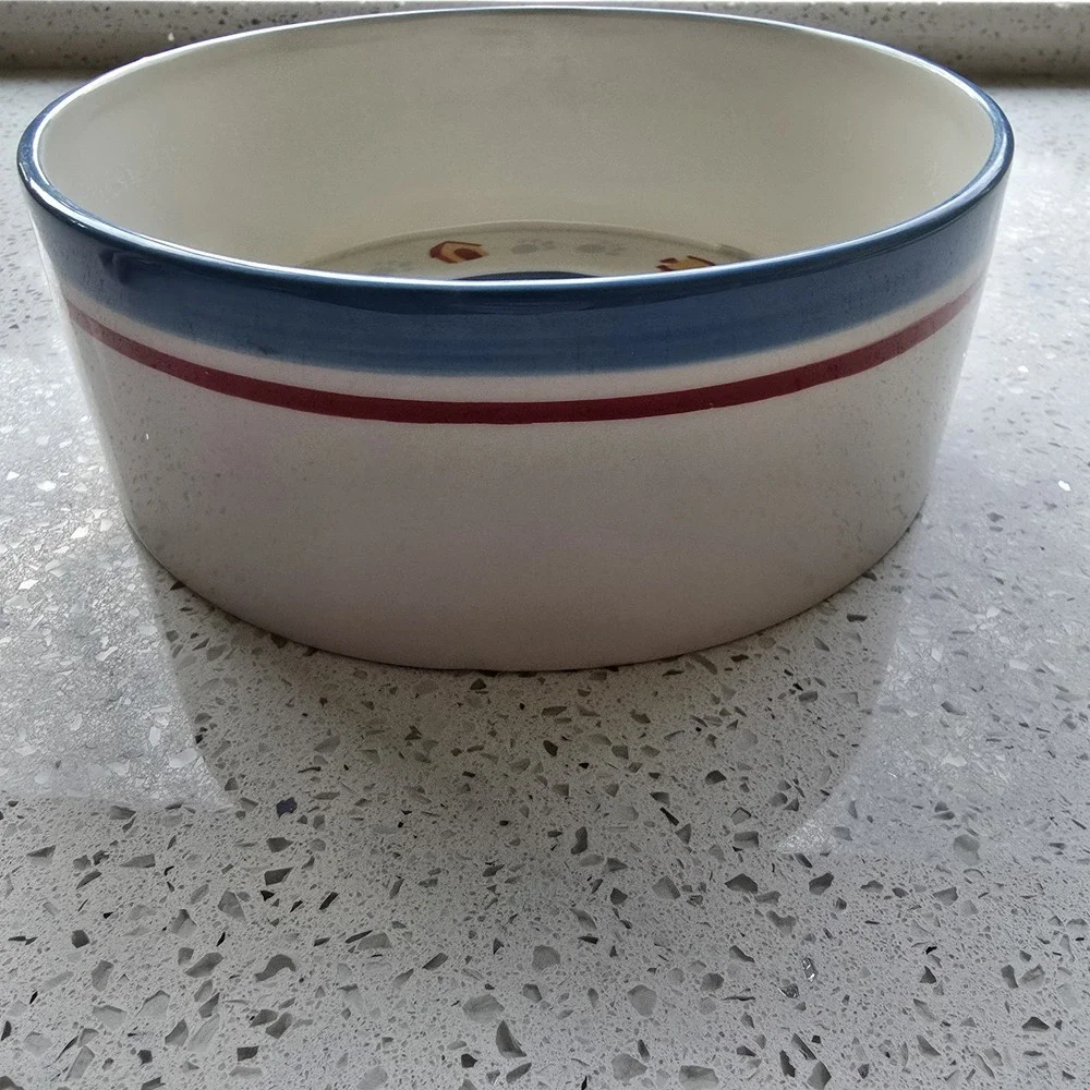 2006 Disney Pluto ‎ Dog, Popcorn, Cereal Bowl Ceramic 3 Inches Deep And